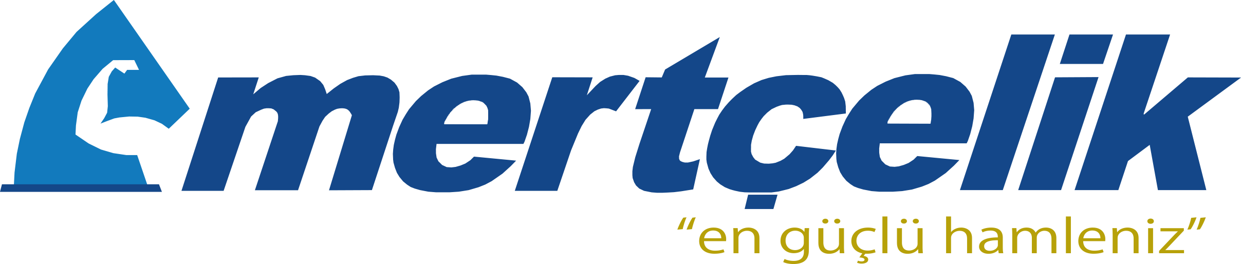 Mert Çelik Web Sitesi